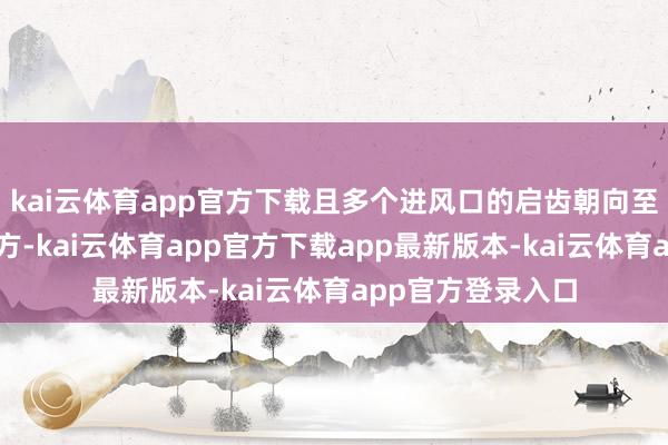 kai云体育app官方下载且多个进风口的启齿朝向至少两个不同的地方-kai云体育app官方下载app最新版本-kai云体育app官方登录入口